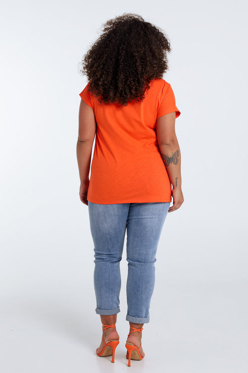 Orange / 40-Paprika-3