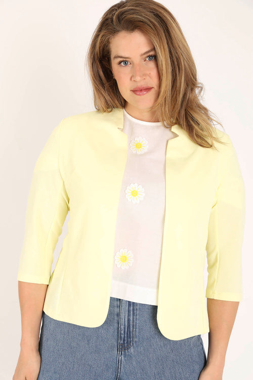 Jaune / 46-Paprika-1